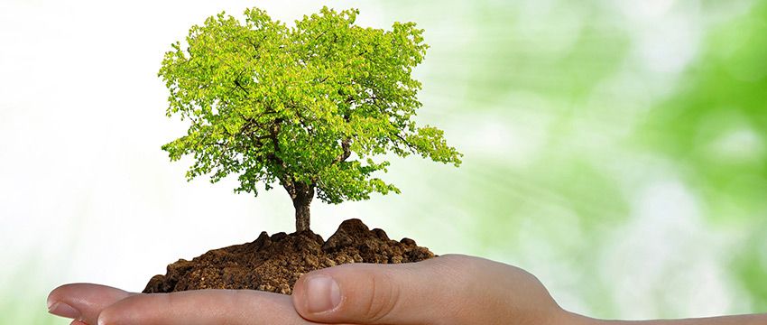 Pós em Educação Ambiental EAD
